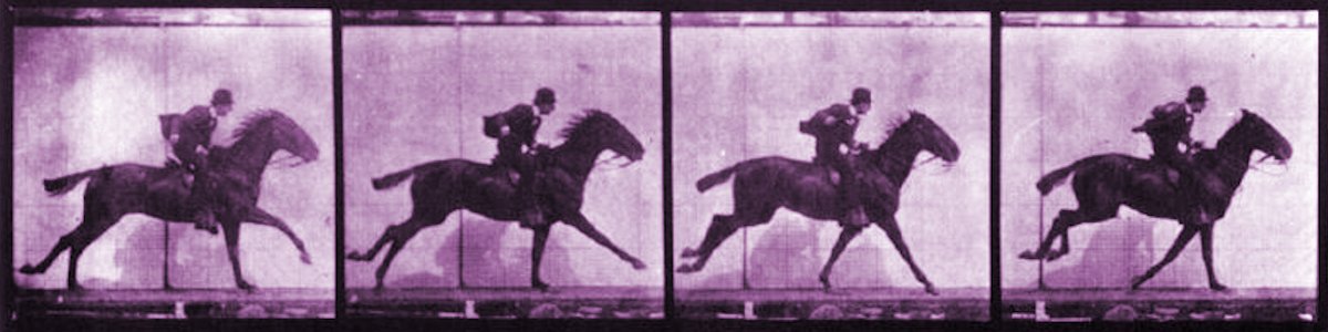 Megrendelés (digitális)